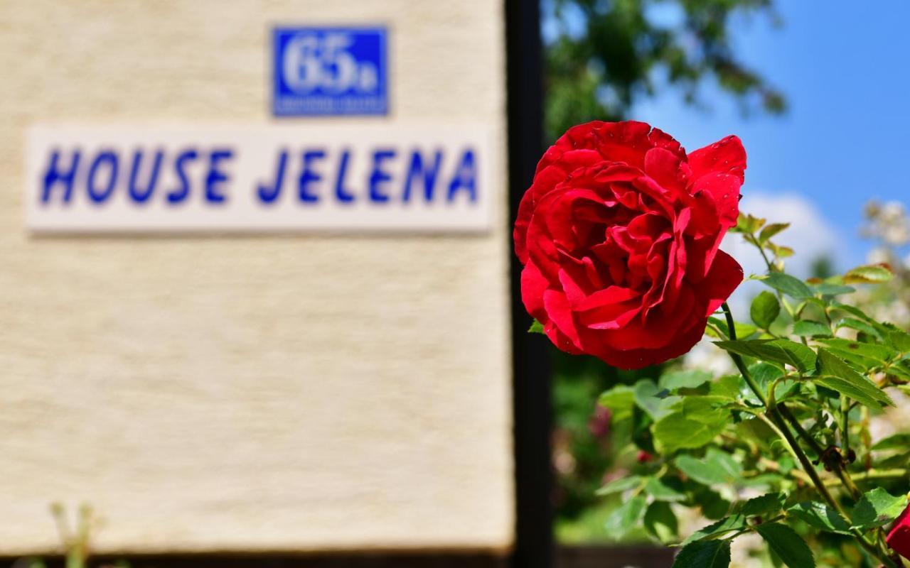 House Jelena Lejlighed Seliste Dreznicko Eksteriør billede